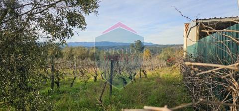 Terreno Para Construção  Venda em Silgueiros,Viseu