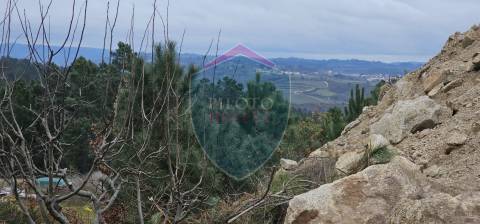 Lote de Terreno  Venda em Rio de Loba,Viseu