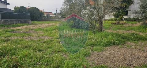 Lote de Terreno  Venda em Rio de Loba,Viseu