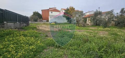 Lote de Terreno  Venda em Rio de Loba,Viseu
