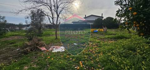 Lote de Terreno  Venda em Rio de Loba,Viseu