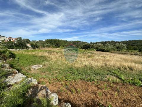 Lote de Terreno  Venda em Cavernães,Viseu