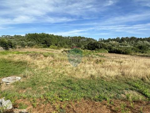 Lote de Terreno  Venda em Cavernães,Viseu