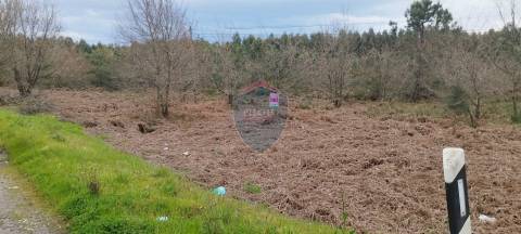 Terreno Rústico  Venda em Mundão,Viseu