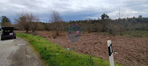 Terreno Rústico  Venda em Mundão,Viseu