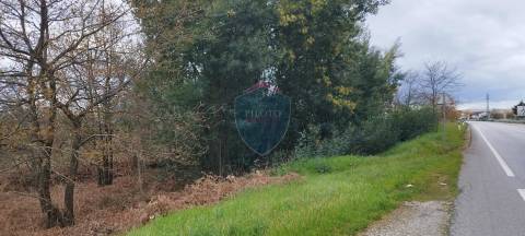 Terreno Rústico  Venda em Mundão,Viseu