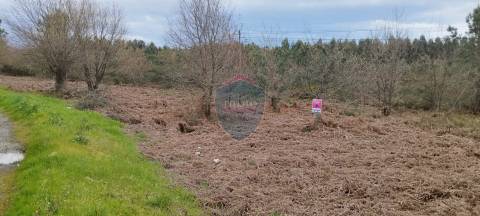 Terreno Rústico  Venda em Mundão,Viseu