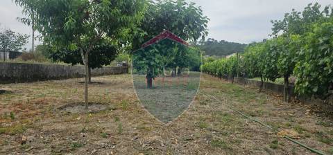 Moradia Geminada T4 Venda em São João de Lourosa,Viseu