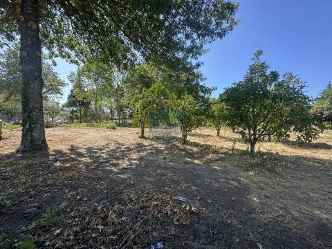 Terreno Urbano  Venda em Currelos, Papízios e Sobral,Carregal do Sal