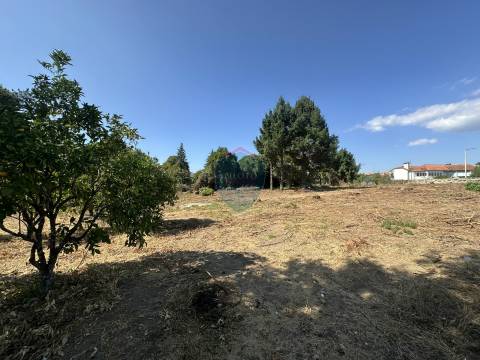 Terreno Urbano  Venda em Currelos, Papízios e Sobral,Carregal do Sal