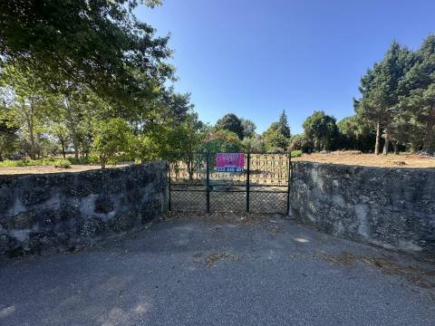 Terreno Urbano  Venda em Currelos, Papízios e Sobral,Carregal do Sal