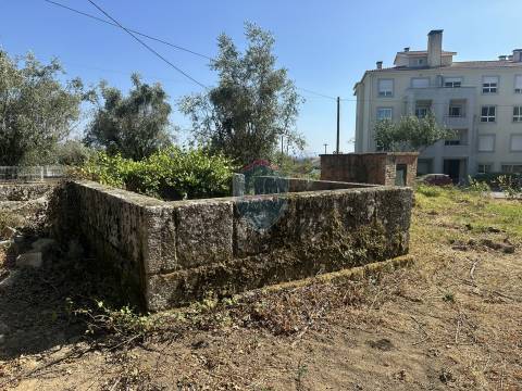 Terreno Urbano  Venda em Currelos, Papízios e Sobral,Carregal do Sal