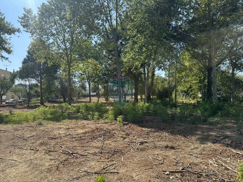 Terreno Urbano  Venda em Currelos, Papízios e Sobral,Carregal do Sal