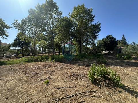 Terreno Urbano  Venda em Currelos, Papízios e Sobral,Carregal do Sal