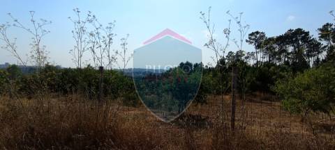 Loteamento  Venda em Abraveses,Viseu
