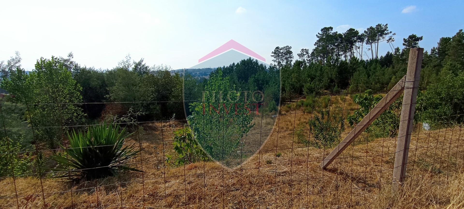 Loteamento  Venda em Abraveses,Viseu