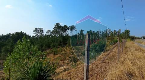 Loteamento  Venda em Abraveses,Viseu