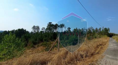 Loteamento  Venda em Abraveses,Viseu