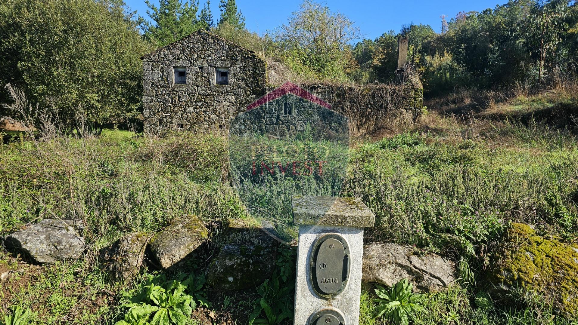 Terreno  Venda em São Cipriano e Vil de Souto,Viseu