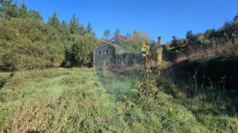 Terreno  Venda em São Cipriano e Vil de Souto,Viseu