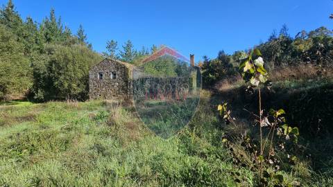 Terreno  Venda em São Cipriano e Vil de Souto,Viseu