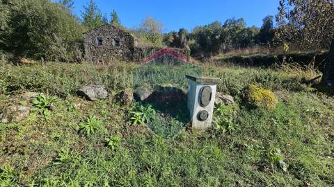 Terreno  Venda em São Cipriano e Vil de Souto,Viseu