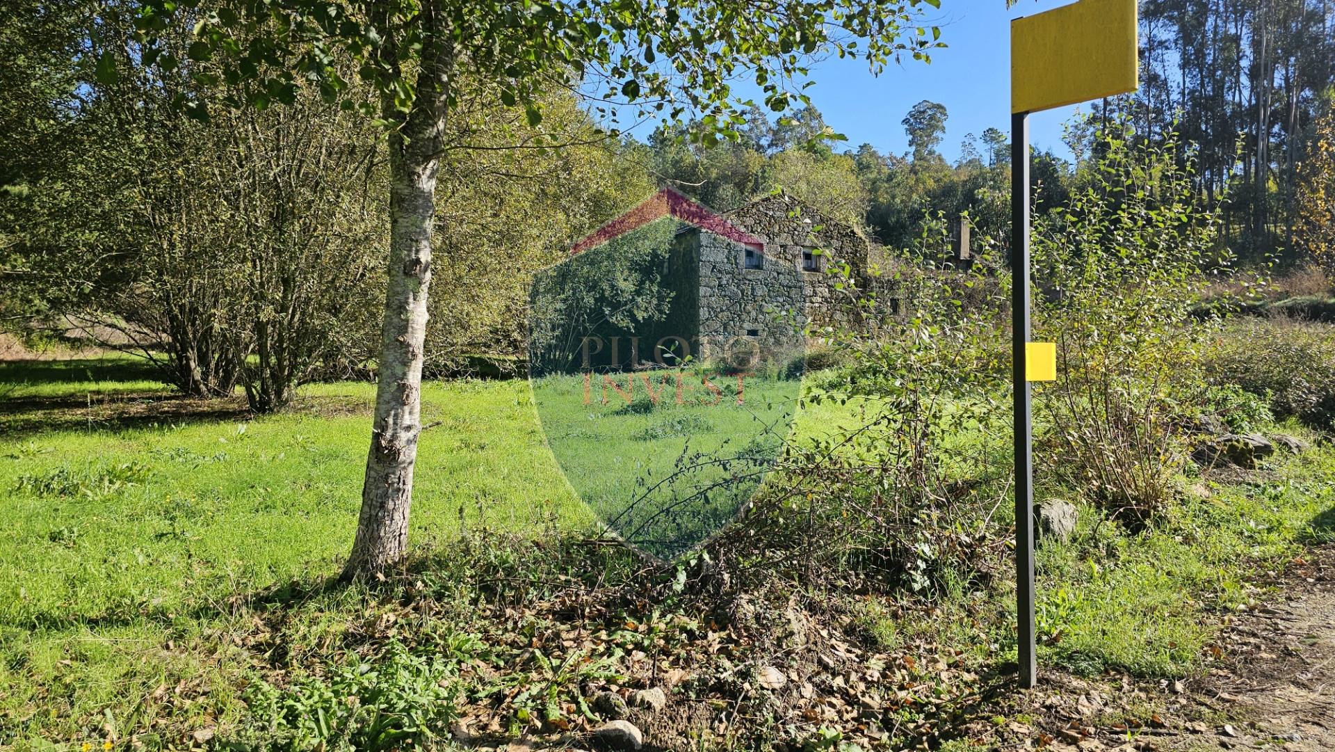 Terreno  Venda em São Cipriano e Vil de Souto,Viseu