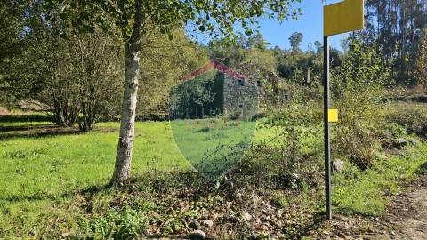 Terreno  Venda em São Cipriano e Vil de Souto,Viseu