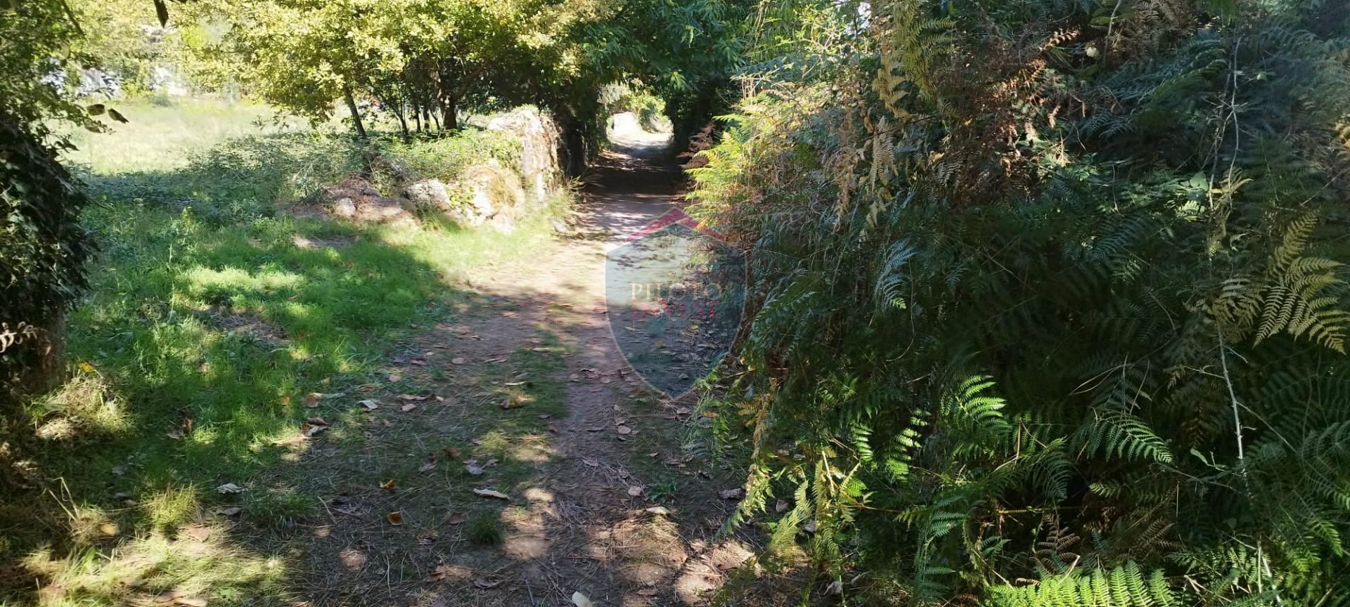 Terreno Rústico  Venda em Viseu,Viseu