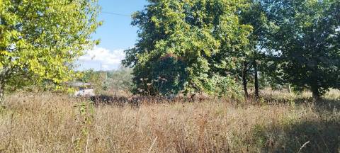 Terreno Rústico  Venda em Viseu,Viseu