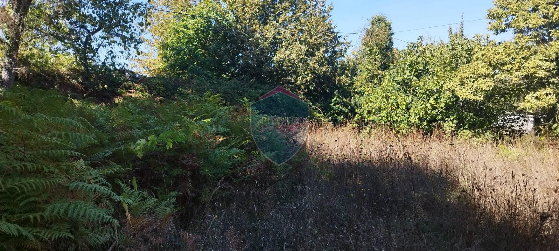 Terreno Rústico  Venda em Viseu,Viseu