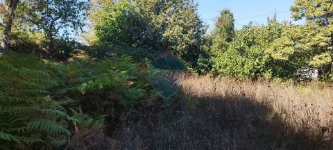 Terreno Rústico  Venda em Viseu,Viseu