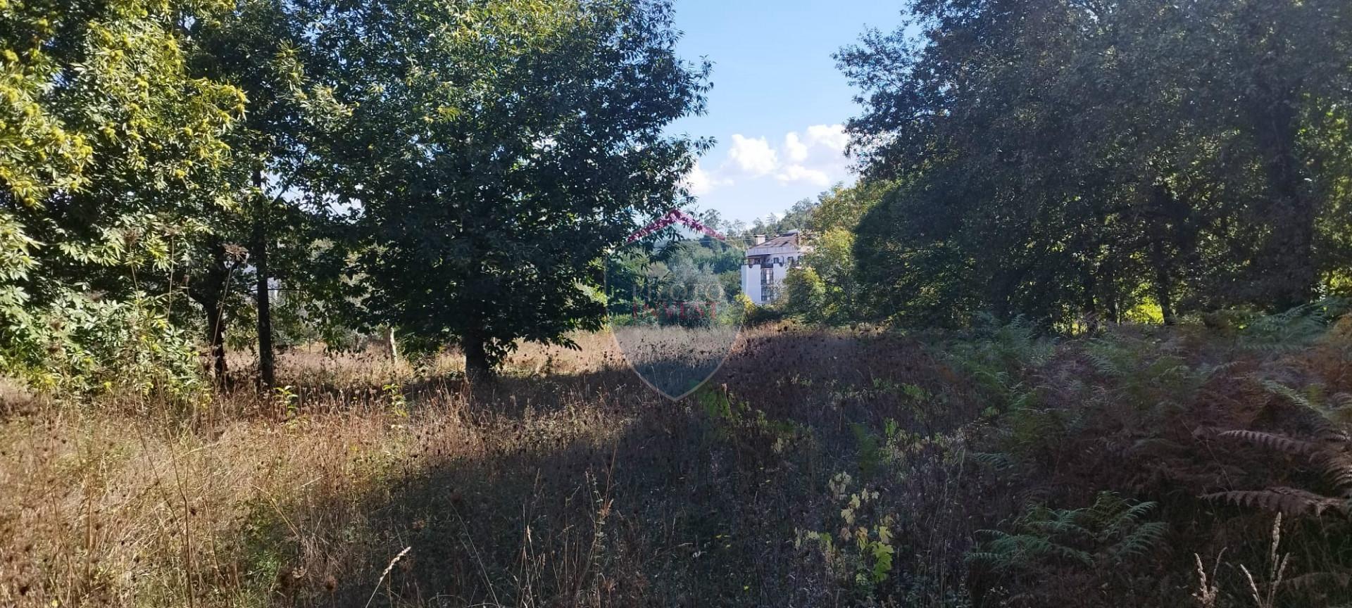 Terreno Rústico  Venda em Viseu,Viseu