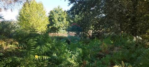 Terreno Rústico  Venda em Viseu,Viseu