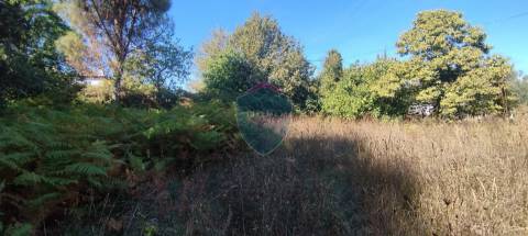 Terreno Rústico  Venda em Viseu,Viseu