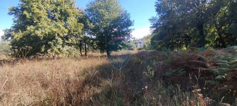 Terreno Rústico  Venda em Viseu,Viseu