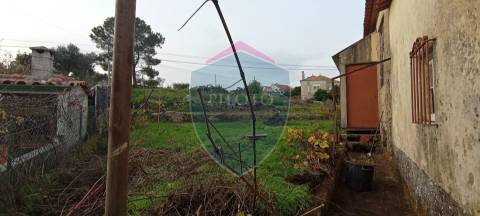 Moradia Rústica  Venda em Tavares (Chãs, Várzea e Travanca),Mangualde