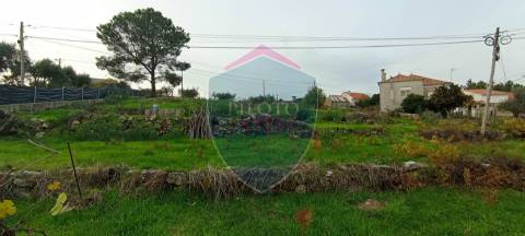 Moradia Rústica  Venda em Tavares (Chãs, Várzea e Travanca),Mangualde