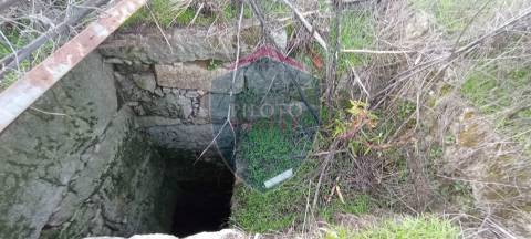 Moradia Rústica  Venda em Tavares (Chãs, Várzea e Travanca),Mangualde