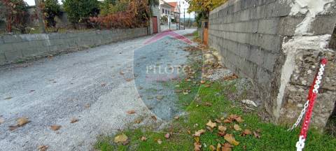 Moradia Rústica  Venda em Tavares (Chãs, Várzea e Travanca),Mangualde