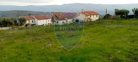 Moradia Rústica  Venda em Tavares (Chãs, Várzea e Travanca),Mangualde