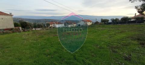 Moradia Rústica  Venda em Tavares (Chãs, Várzea e Travanca),Mangualde