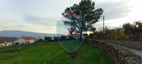 Moradia Rústica  Venda em Tavares (Chãs, Várzea e Travanca),Mangualde