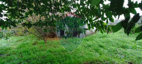 Moradia Geminada T4+1 Venda em Fragosela,Viseu