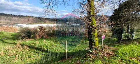 Terreno  Venda em Fragosela,Viseu