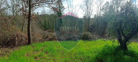 Quinta  Venda em Silgueiros,Viseu