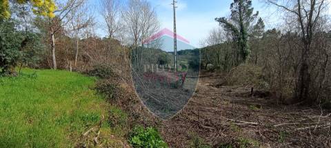 Quinta  Venda em Silgueiros,Viseu