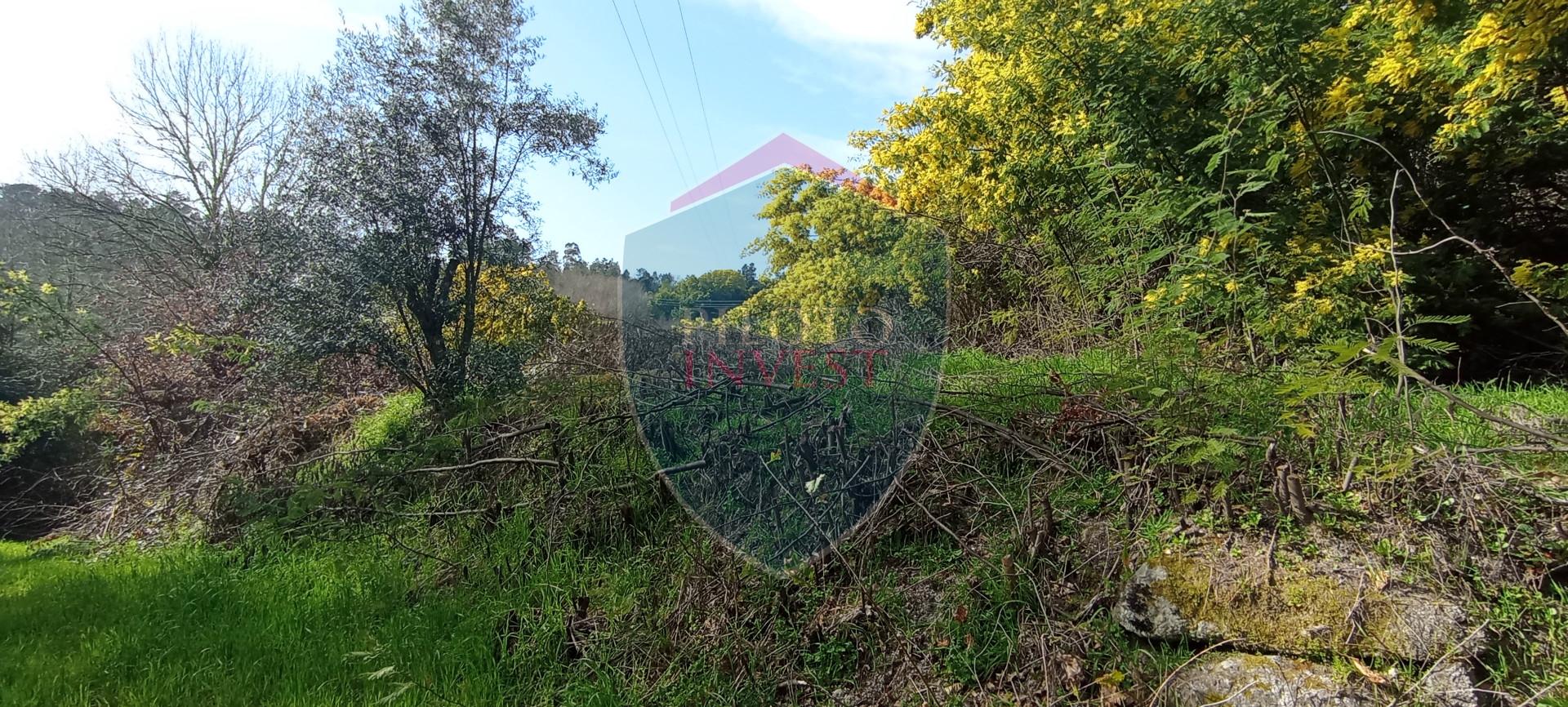 Quinta  Venda em Silgueiros,Viseu