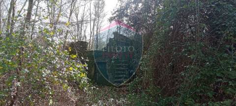 Quinta  Venda em Silgueiros,Viseu