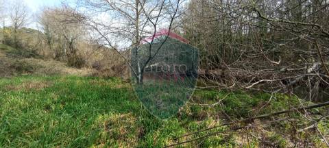 Quinta  Venda em Silgueiros,Viseu